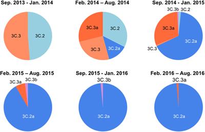 Molecular Dynamics Simulation of the Influenza A(H3N2) Hemagglutinin Trimer Reveals the Structural Basis for Adaptive Evolution of the Recent Epidemic Clade 3C.2a